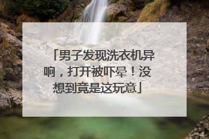 男子发现洗衣机异响，打开被吓晕！没想到竟是这玩意