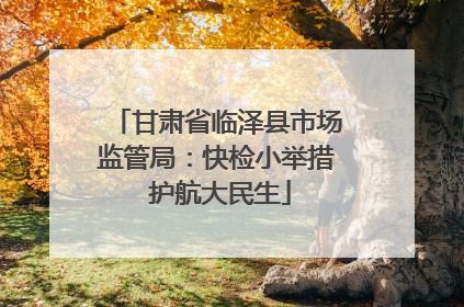 甘肃省临泽县市场监管局：快检小举措 护航大民生