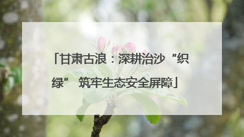 甘肃古浪：深耕治沙“织绿” 筑牢生态安全屏障