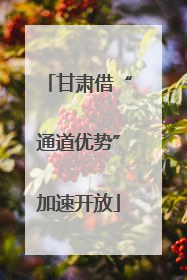甘肃借“通道优势”加速开放
