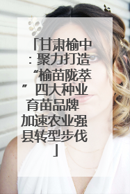 甘肃榆中：聚力打造“榆苗陇萃”四大种业育苗品牌 加速农业强县转型步伐