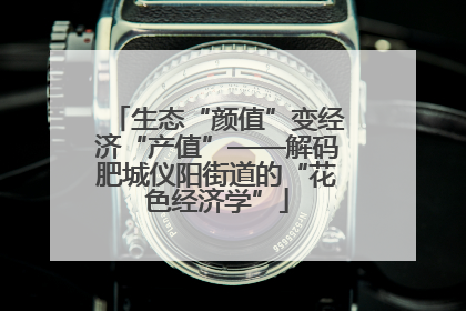 生态“颜值”变经济“产值”——解码肥城仪阳街道的“花色经济学”