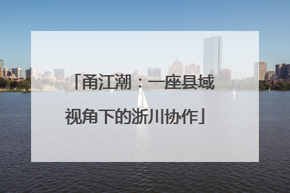 甬江潮：一座县域视角下的浙川协作