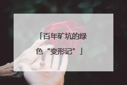 百年矿坑的绿色“变形记”