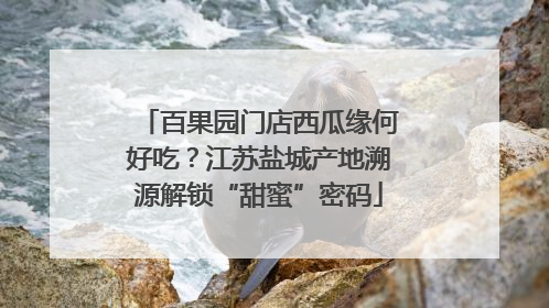 百果园门店西瓜缘何好吃？江苏盐城产地溯源解锁“甜蜜”密码