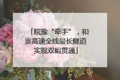皖豫“牵手”，和襄高速全线最长隧道实现双幅贯通