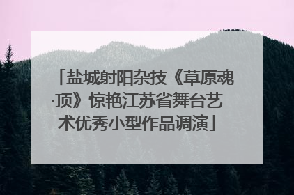 盐城射阳杂技《草原魂·顶》惊艳江苏省舞台艺术优秀小型作品调演