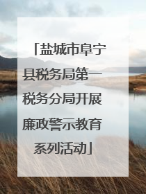 盐城市阜宁县税务局第一税务分局开展廉政警示教育系列活动