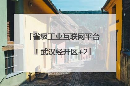 省级工业互联网平台！武汉经开区+2