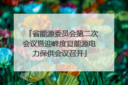 省能源委员会第二次会议暨迎峰度夏能源电力保供会议召开