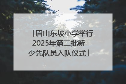 眉山东坡小学举行2025年第二批新少先队员入队仪式