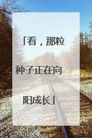 看，那粒种子正在向阳成长