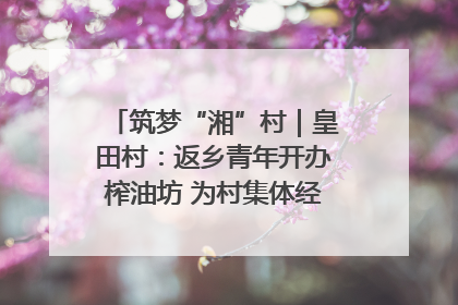 筑梦“湘”村｜皇田村：返乡青年开办榨油坊 为村集体经济“加油”