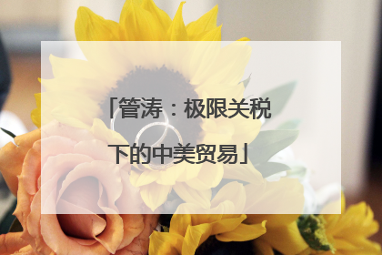 管涛：极限关税下的中美贸易
