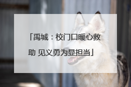 禹城：校门口暖心救助 见义勇为显担当