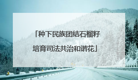 种下民族团结石榴籽 培育司法共治和谐花