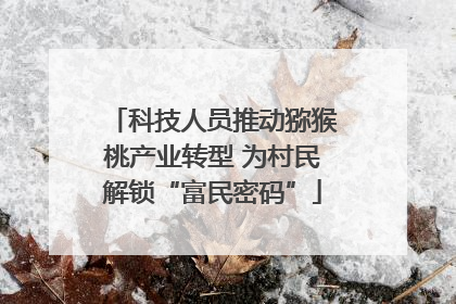科技人员推动猕猴桃产业转型 为村民解锁“富民密码”