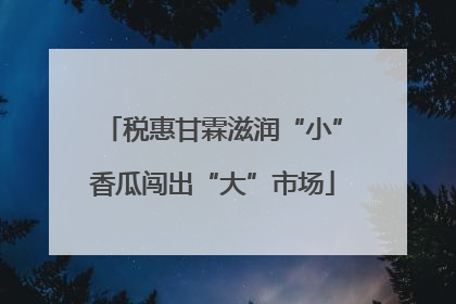税惠甘霖滋润“小”香瓜闯出“大”市场