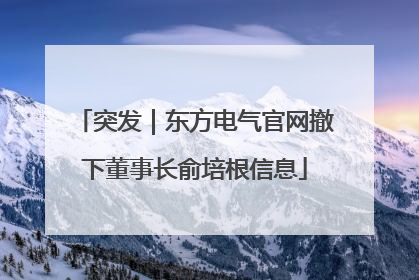 突发｜东方电气官网撤下董事长俞培根信息