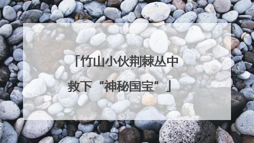 竹山小伙荆棘丛中救下“神秘国宝”