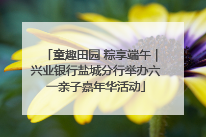 童趣田园 粽享端午｜兴业银行盐城分行举办六一亲子嘉年华活动