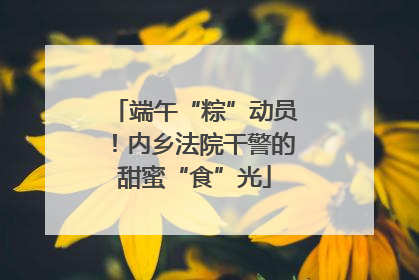 端午“粽”动员！内乡法院干警的甜蜜“食”光