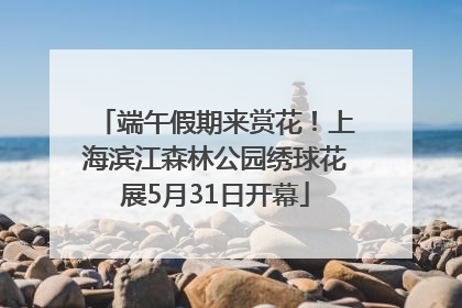 端午假期来赏花！上海滨江森林公园绣球花展5月31日开幕