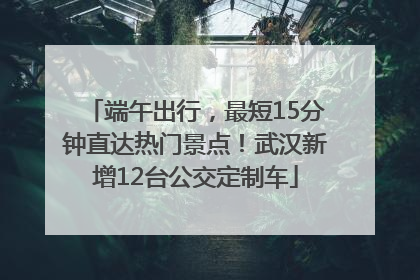 端午出行，最短15分钟直达热门景点！武汉新增12台公交定制车