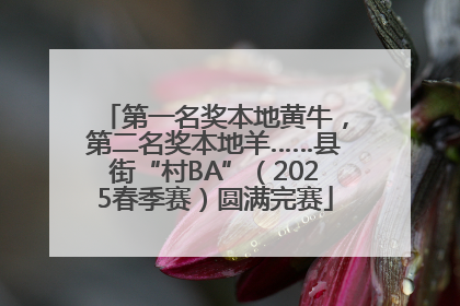 第一名奖本地黄牛，第二名奖本地羊……县街“村BA”（2025春季赛）圆满完赛