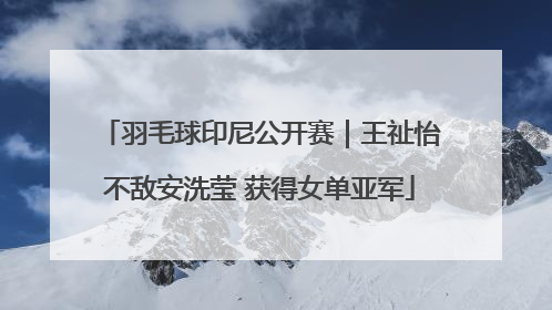 羽毛球印尼公开赛｜王祉怡不敌安洗莹 获得女单亚军