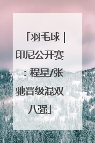 羽毛球｜印尼公开赛：程星/张驰晋级混双八强