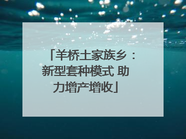 羊桥土家族乡：新型套种模式 助力增产增收