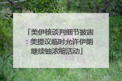 美伊核谈判细节披露：美提议临时允许伊朗继续铀浓缩活动
