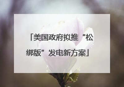 美国政府拟推“松绑版”发电新方案