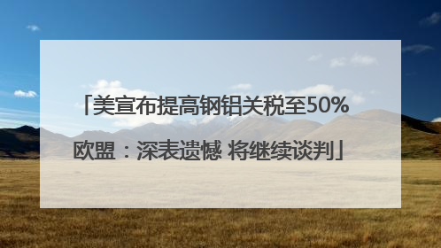 美宣布提高钢铝关税至50% 欧盟：深表遗憾 将继续谈判