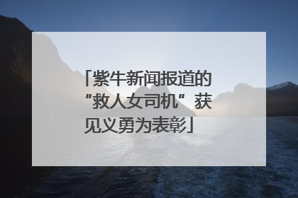 紫牛新闻报道的“救人女司机”获见义勇为表彰