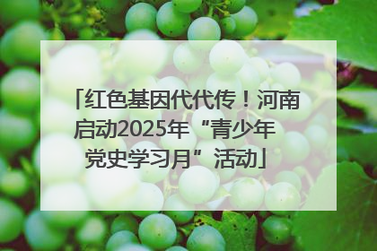 红色基因代代传！河南启动2025年“青少年党史学习月”活动