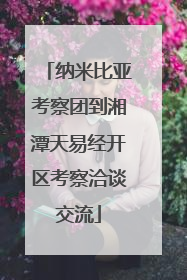 纳米比亚考察团到湘潭天易经开区考察洽谈交流