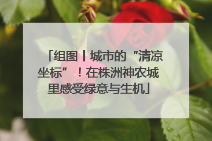 组图丨城市的“清凉坐标”！在株洲神农城里感受绿意与生机
