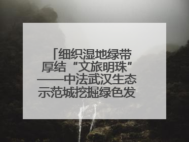 细织湿地绿带 厚结“文旅明珠”——中法武汉生态示范城挖掘绿色发展新动能