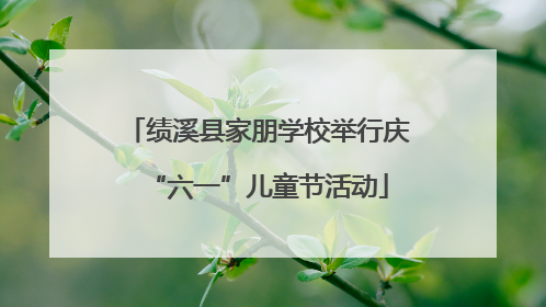 绩溪县家朋学校举行庆“六一”儿童节活动