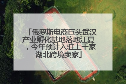 俄罗斯电商巨头武汉产业孵化基地落地江夏，今年预计入驻上千家湖北跨境卖家