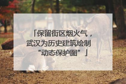 保留街区烟火气，武汉为历史建筑绘制“动态保护图”