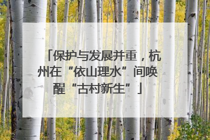 保护与发展并重，杭州在“依山理水”间唤醒“古村新生”