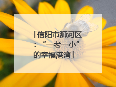 信阳市浉河区：“一老一小”的幸福港湾
