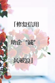 修复信用助企“诚”风破浪