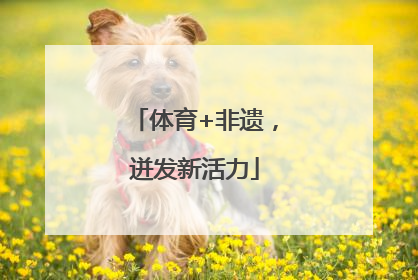 体育+非遗，迸发新活力