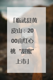临武县黄皮山：2000亩红心桃“甜蜜”上市