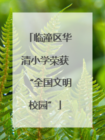 临潼区华清小学荣获“全国文明校园”