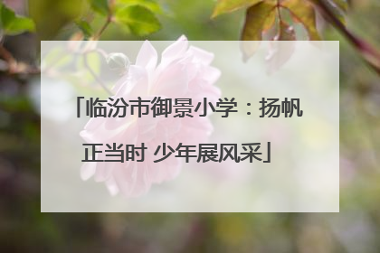 临汾市御景小学：扬帆正当时 少年展风采